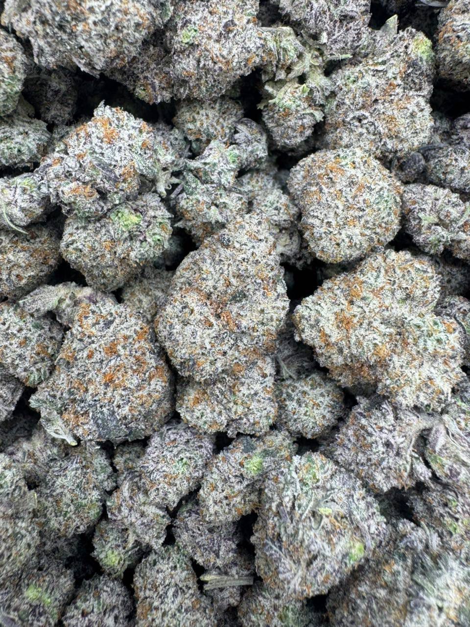 Berry Latto Pop | Zaa