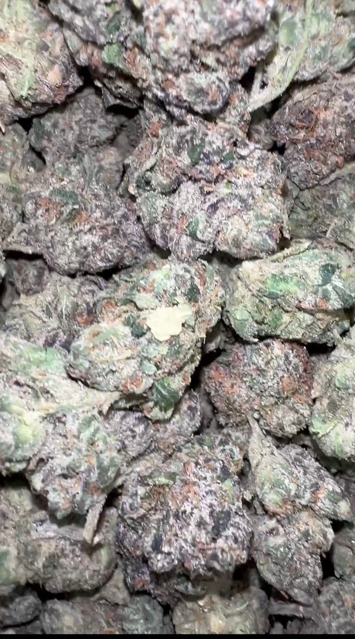 Zamosa Green | Indoors