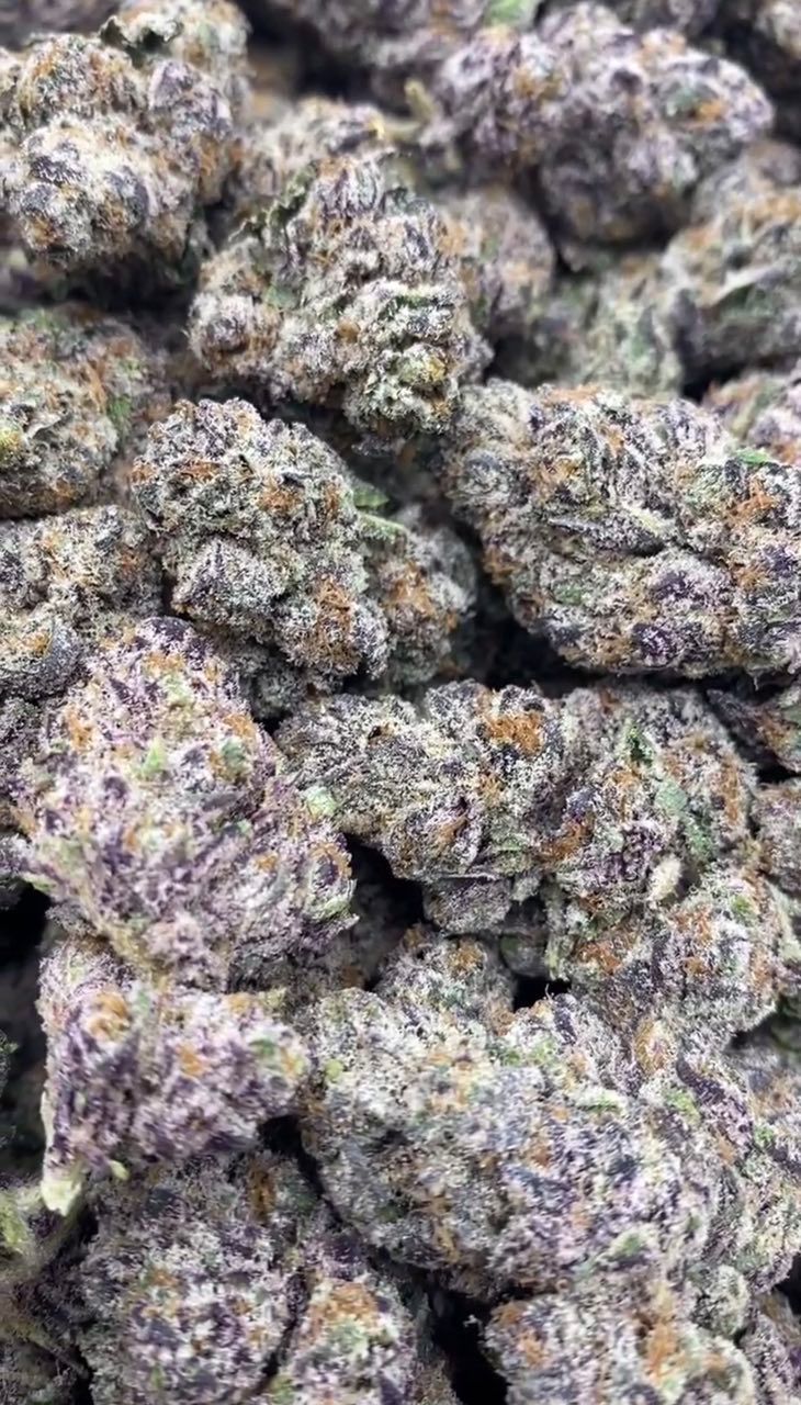 Promethzine | Indoors