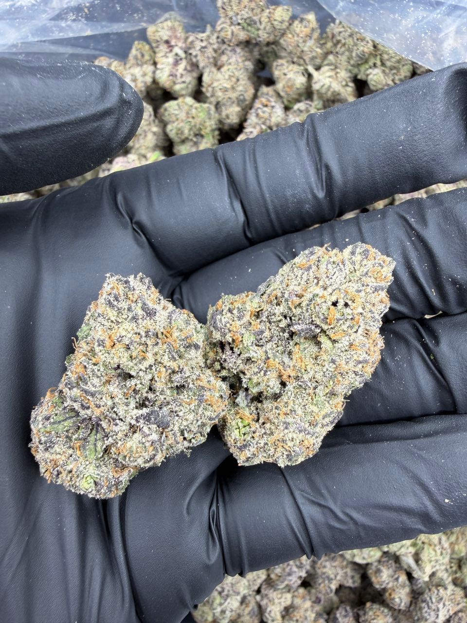 Rainbow Cherry | Lows