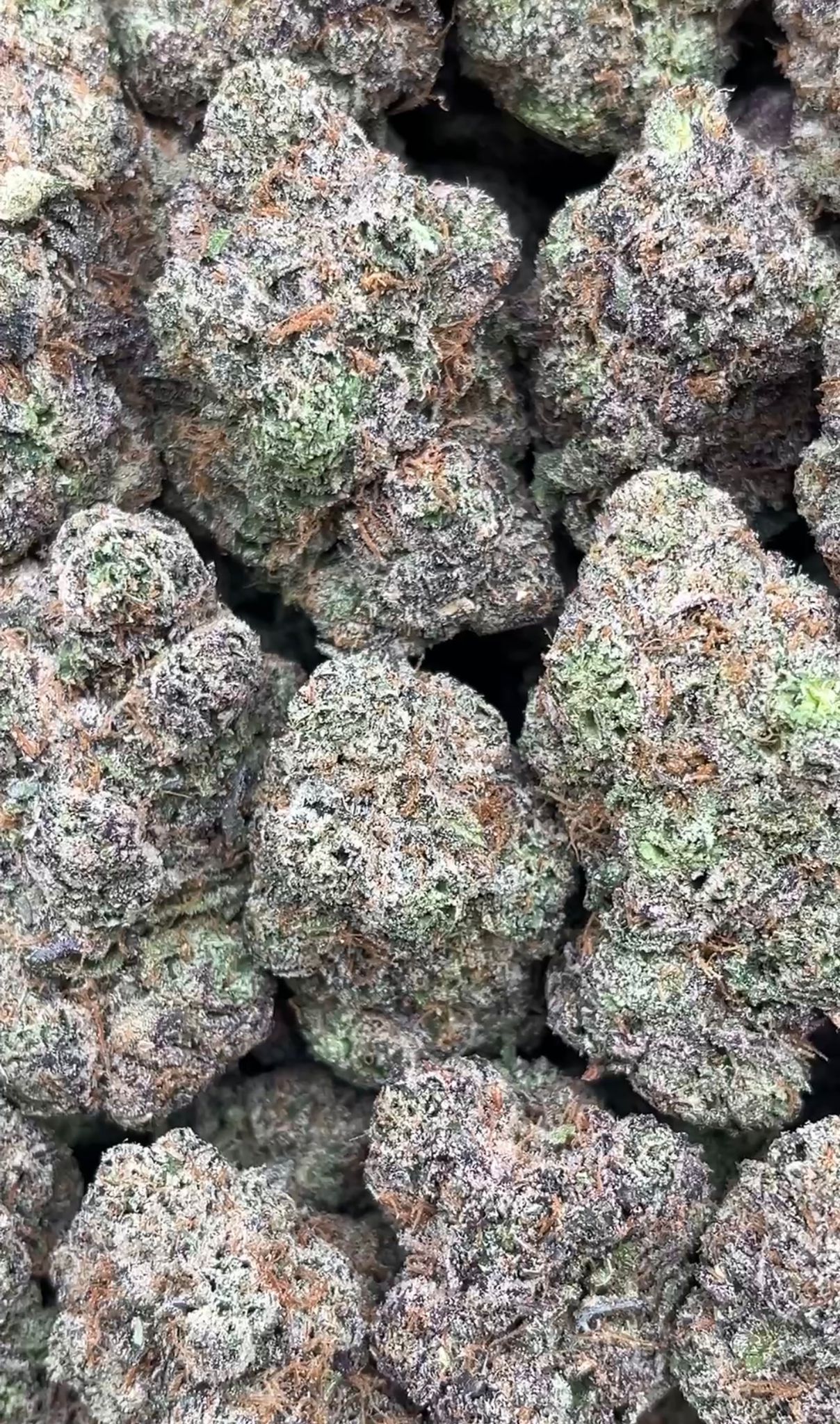 Bubba Kush | Zaa